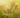Astrological Forecast for Late 2025: Key Transits Influencing Emotional and Spiritual Growth