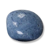 Blue Coral